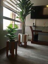 Cubo con base de pino